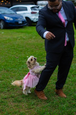 Foto de la boda